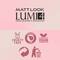 Matt Look Lumi 4 Glow Baked Blusher & Highlighter - Fresh Glow-05 (7.5 g)