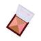 Matt Look Lumi 4 Glow Baked Blusher & Highlighter - Fresh Glow-05 (7.5 g)
