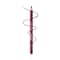 Matt Look Colorite Lip Contour - Naughty Plum-10 (0.9 g)