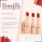 Half N Half Vintage Matte Non-Transfer Lipstick - Maroon Goddess-16 (3.8 g)