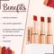 Half N Half Vintage Matte Non-Transfer Lipstick - Rebel Maroon-17 (3.8 g)