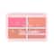 Half N Half Cheekleaders Blusher Palette - Feel Fresh-01 (13.8 g)