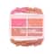 Half N Half Cheekleaders Blusher Palette - Feel Fresh-01 (13.8 g)