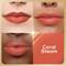 Renee H2O Hydrating Creme Lipstick - Coral Stream (4 g)