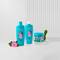 ALFAPARF Alta Moda Conditioner Micellar Acqua Shine (300 ml)