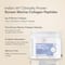 Wellbeing Nutrition Pure Korean Marine Collagen Blueberry Mint (120 g)
