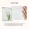 Mixsoon Daily Mask Pack Tuesday (20 ml)