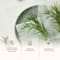 Mixsoon Daily Mask Pack Tuesday (20 ml)