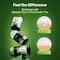 Wild Stone Awake Anti Odour Roll on for Men (50 ml)