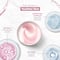 Streax Youthful Shine Serum Infused Face Cream (50 g)