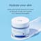 Round Lab Birch Juice Moisturizing Cream (80 ml)
