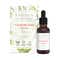 Sadhev Leave-In Anti-Frizz Hair Serum (30 ml)