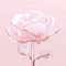 By Terry Baume De Rose Lip Oil Serum N2 - Dazzling Rose (5 ml)