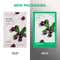 Innisfree Acai Berry Cream Energy Mask – Revives & Smooths Skin (22 ml)