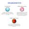 O3+ Shine & Glow Single Use Facial Kit (7Pcs)
