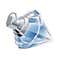 Chopard Wish W Eau De Parfum (30ml)