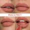Character Lip Lock Matte Lipstick - Peach Pact 006 (2.5 g)