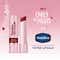 Vaseline Emily in Paris Tinted Lip Balm - Rouge Romance (3 g)