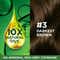 Garnier Color Naturals Creme Hair Color - Shade 3 Darkest Brown (70ml + 60g)