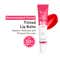 Fixderma 4% Kojic Acid Tinted Lip Balm with 2% Ceramide, 3% Shea Butter, 3% Niacinamide (15ml)