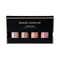 Daniel Sandler Customisable Watercolour Liquid Blush Set For Cheeks Lips & Eyes (4 pcs)