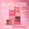 Makeup Revolution Blush Icon Palette - Aura Points Rose (9.8 g)