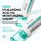 Anua PDRN Hyaluronic Acid 100 Moisture Cream (60 ml)