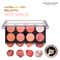 Makeup Revolution Ultra Blush Palette - Hot Spice (12.8 g)