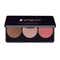 Pilgrim 3-in-1 Face Palette Blush, Highlighter & Contour - Bold Charme (12 g)