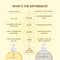 Inde Wild Champi Hair Oil for Regrowth Hairfall And Dandruff (130ml)