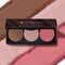 Pilgrim 3-in-1 Face Palette Blush, Highlighter & Contour - Bold Charme (12 g)