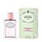 Prada Infusion Rose Eau De Parfum (100 ml)