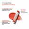 WishCare Tinted Ceramide Lip Balm with SPF50 PA++++ Kojic Acid & Niacinamide - Coral Peach (5 g)
