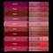 PARUL GARG Beauty Ultimate Silk Matte Liquid Lipstick Set (10 pcs)