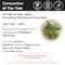Soulflower Teatree Essential Oil (15ml)