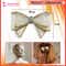 Majestique Glitter Crystal Finish Hair Bow Clip - Golden