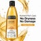 Soulflower Coldpressed Sesame Carrier Oil - (225ml)