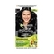 Garnier Color Naturals Creme Hair Color - Shade 1 Natural Black (70ml + 60g)