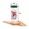 Biotique Bio Disney Princess Snow White Honey Sunshine Nourishing Lotion (180ml)