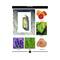 All Good Scents Vetiver Eau De Parfum (50ml)