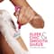 LetsShave Evior 6 Shaving Razor Mid-Flex Blades & Dual Moisture Bar infused for Women (1 pc)