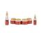 Astaberry AHA Anti Blemish Facial Kit - (6Pcs)