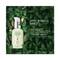 The Face Shop Green Natural Seed Advanced Antioxidant Tocopherol Face Serum (50ml)