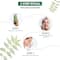 Nature's Essence Protecting Gel Face Wash Neem & Aloe (65ml)