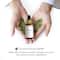 Sirona Anti Acne Face Serum (30ml)