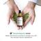 Sirona Depigmentation Face Serum (30ml)