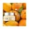 The Face Shop Mango Seed Moisturizing Eye Cream (30ml)