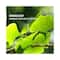 Phy Mountain Rain Invigorating Body Wash (300ml)