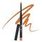 Bella Voste Intense Eyeliner Kajal - Antique Gold (0.25g)
