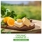 Organic Harvest Lip Balm with SPF Lemon (10g)